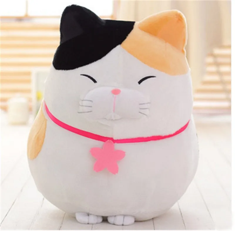 cat8