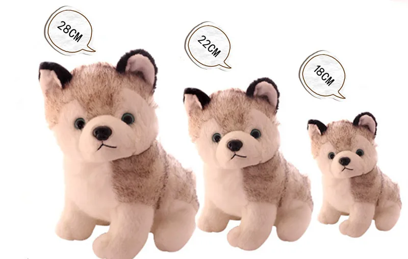 1950291479_1888445408