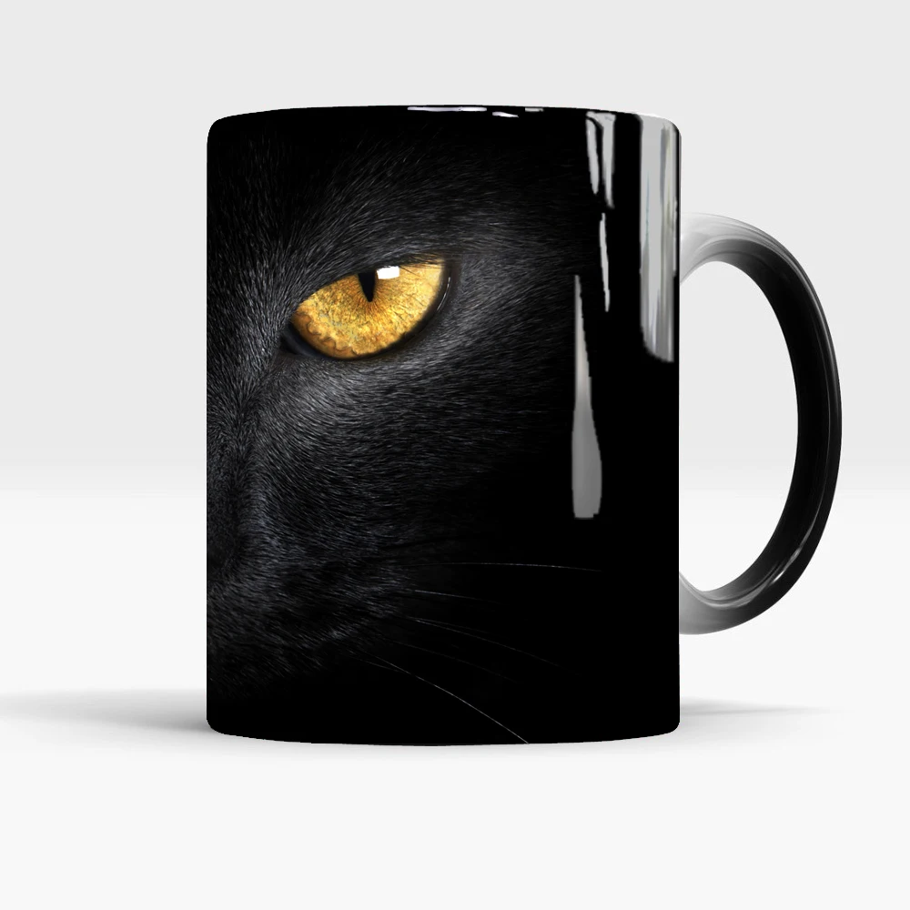 cat7