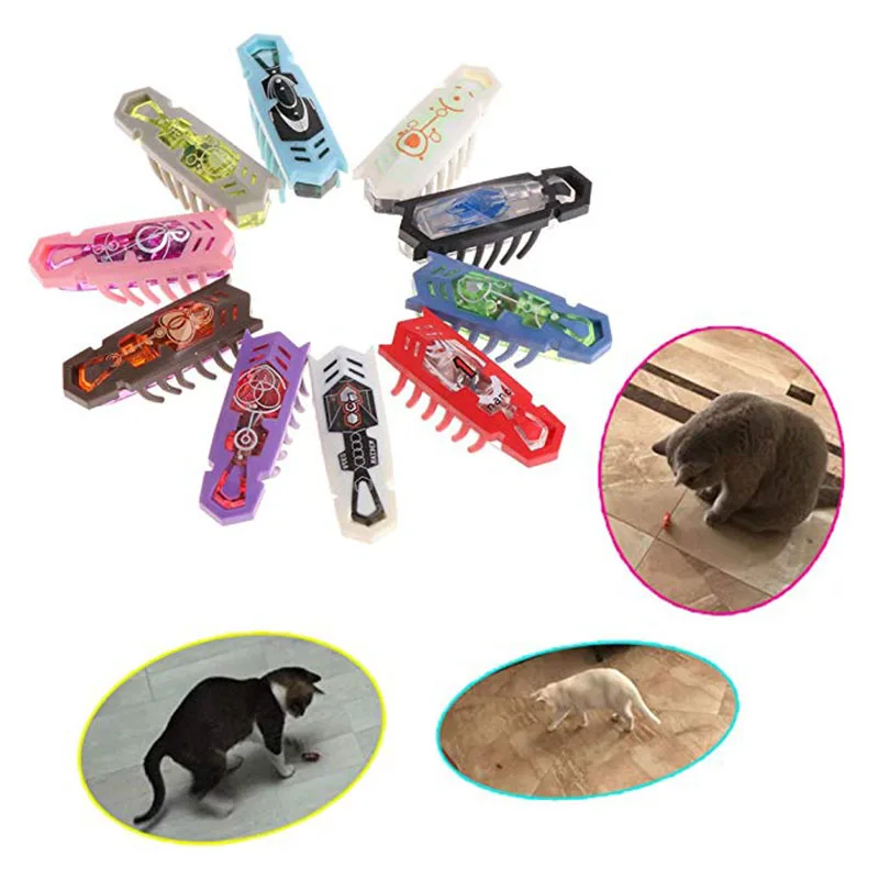 10 PCS Hexbug Electronic font b Pet b font Educational Toys Robotic Insect for Baby Interactive