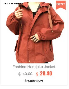 ZURICHOUSE Харадзюку куртки женские весна новые с длинным рукавом с капюшоном базовые пальто свободные универсальные куртки-бомберы женские