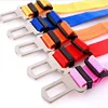 Pet Products