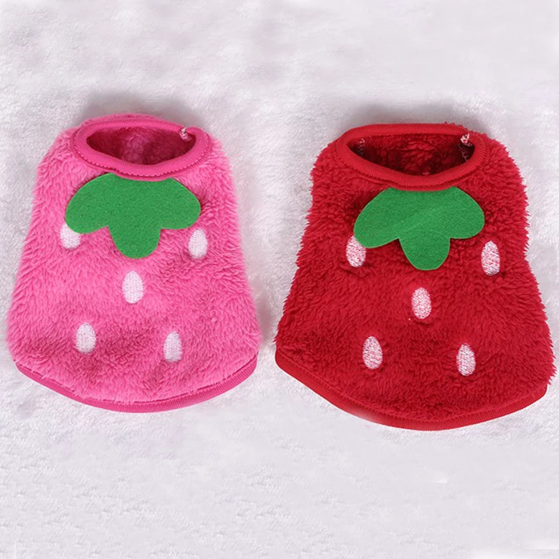 Online Get Cheap Teacup Poodle -Aliexpress.com | Alibaba Group