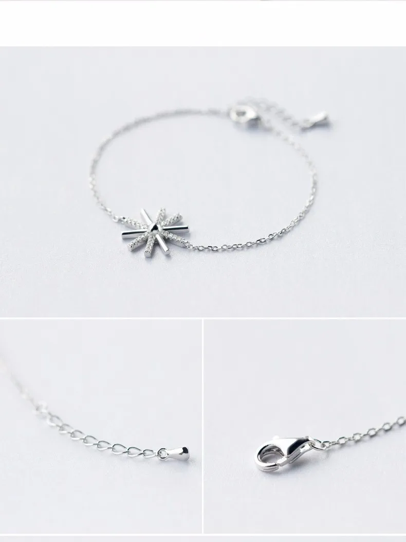 2939618102_334617663