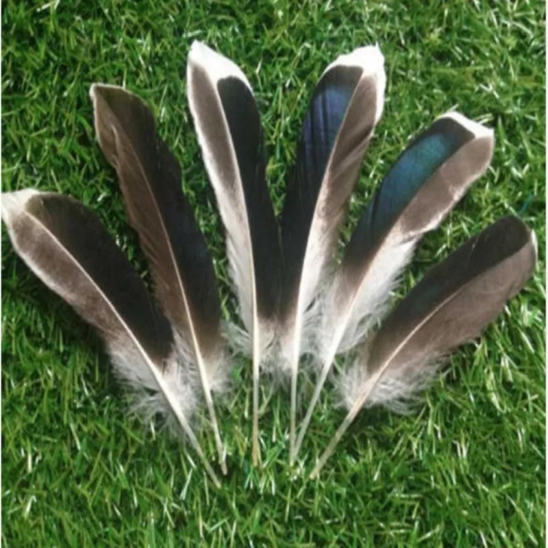 Wholesale 500 pcs Beautiful male natural mallard feathers 4 6 inches