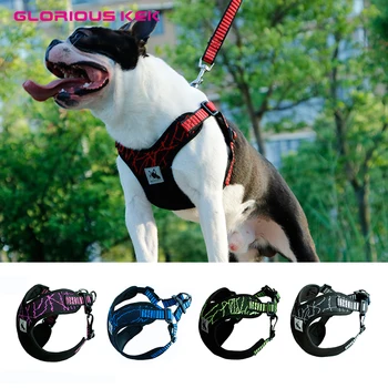 

GLORIOUS KEK Dog Harness Vest Breathable Soft Air Mesh Sport X3 Dog Harness with Matching Lead Choke Free X Step-In Pet Harness