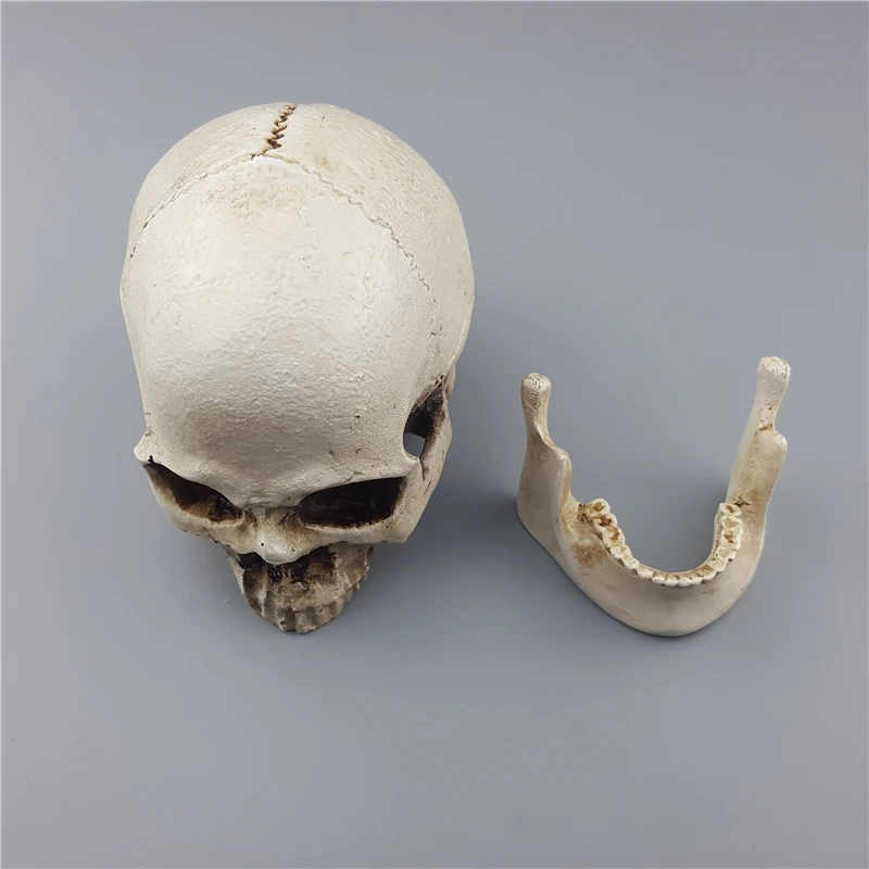 MRZOOT человеческого черепа смолы скульптуры Реплика медицинский модель Хэллоуин декоративное украшение дома Craft