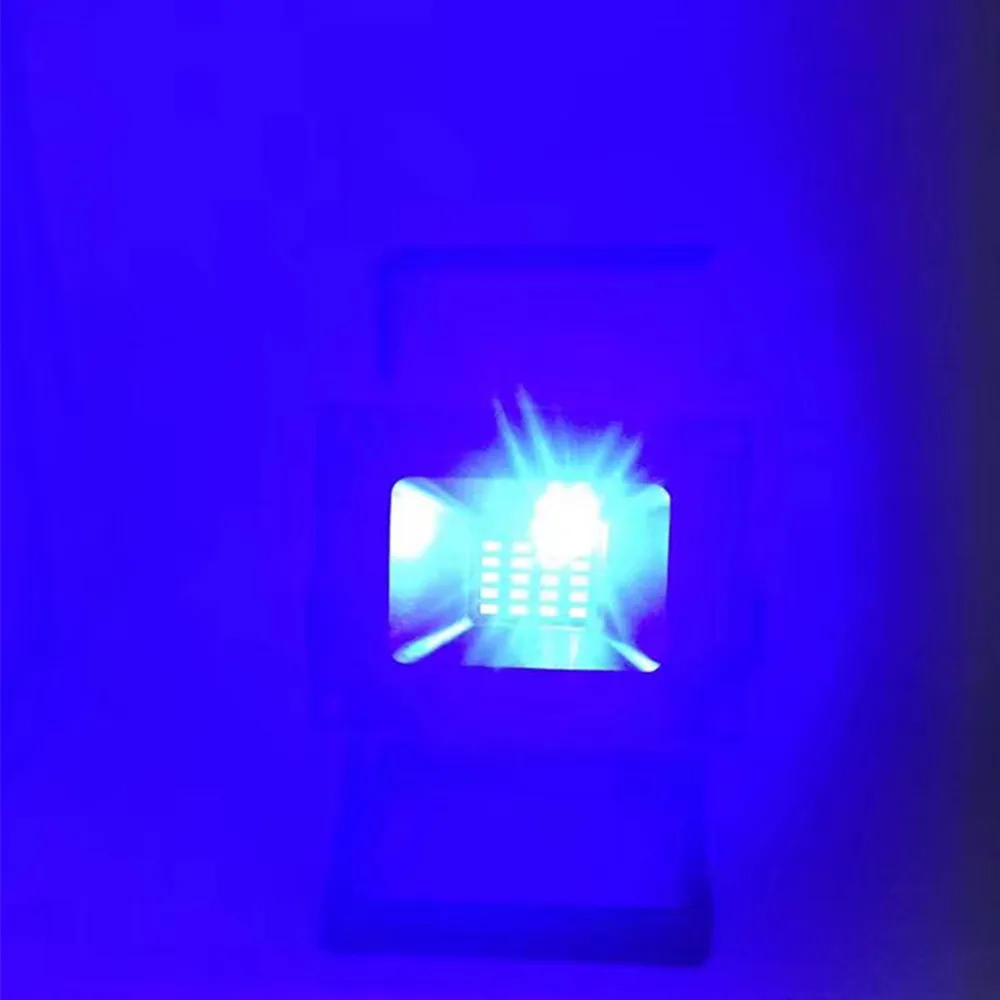 4698611802_255029047
