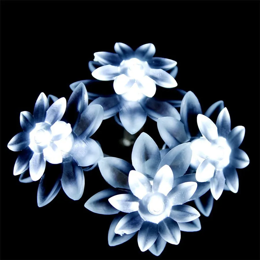 solard-10