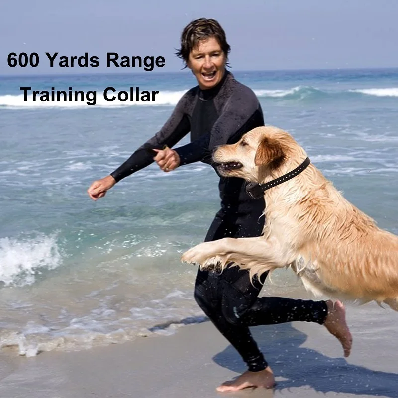 600M dog collar (3)