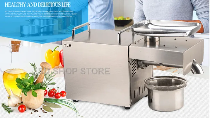 220V/110V Heat and Cold home oil press machine pinenut, cocoa soy bean olive oil press machine high oil extraction rate