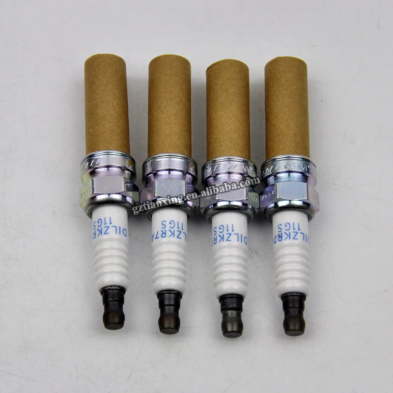 DILZKR7A11G (1)