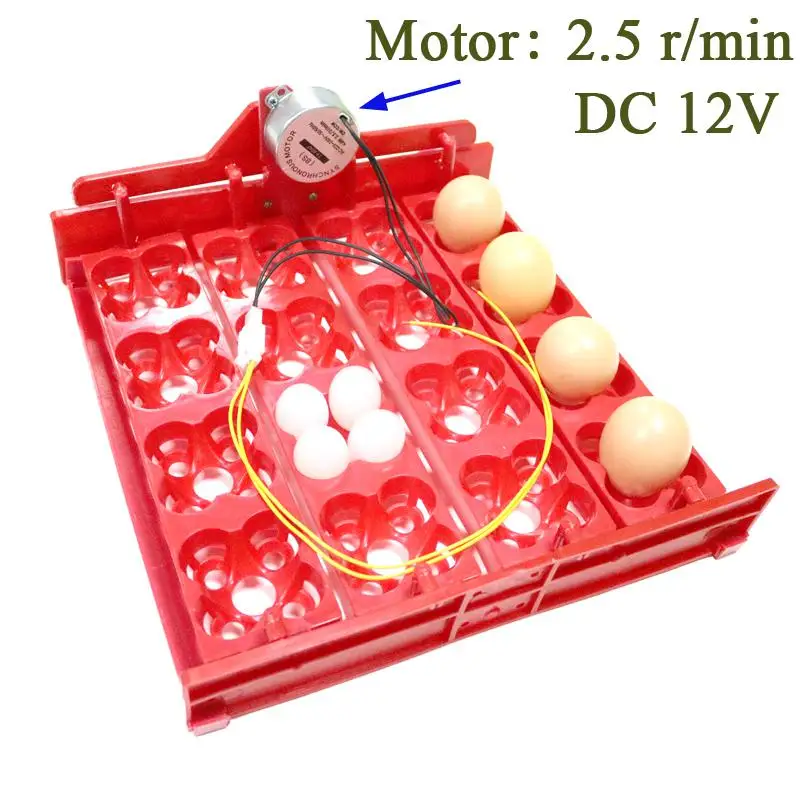 16 яиц/64 птицы Eggstray автоматический инкубатор цыплята уток и перепелов голубей и других птиц моторное инкубационное оборудование - Цвет: DC12V