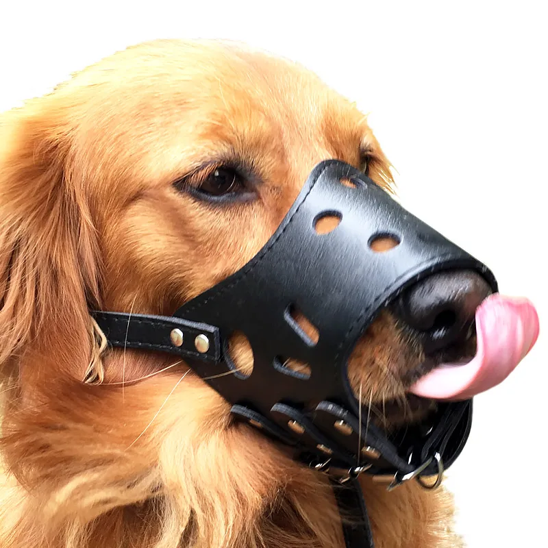 NO Biting Leather Padded Dog Muzzle Studded Adjustable for Medium Dogs Bulldog 