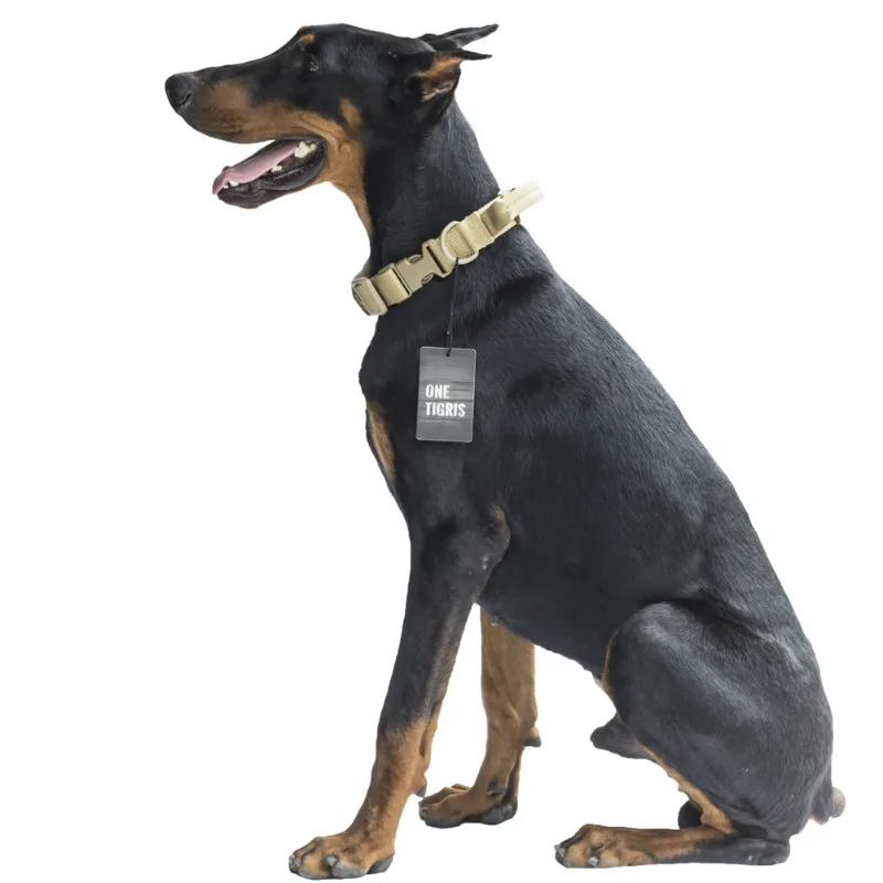 Dog Collar With Handle Dog Collar With Handle