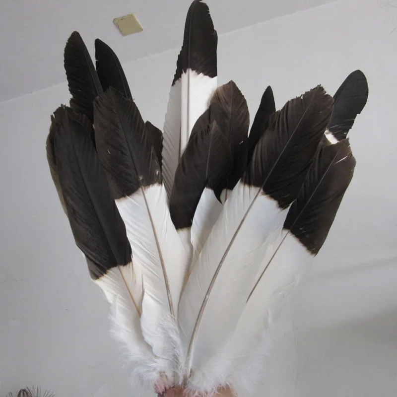 

Hot Sale 60 pcs white natural eagle feathers 35-65cm/long Pheasant feather Decorative diy stage performance Jewelry accessories