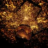 3D Starry Sky Night Light Projector LED Romantic Starry Lamp Galaxy Cosmic Projection for Children Gift Home Party Decoration ► Photo 3/6