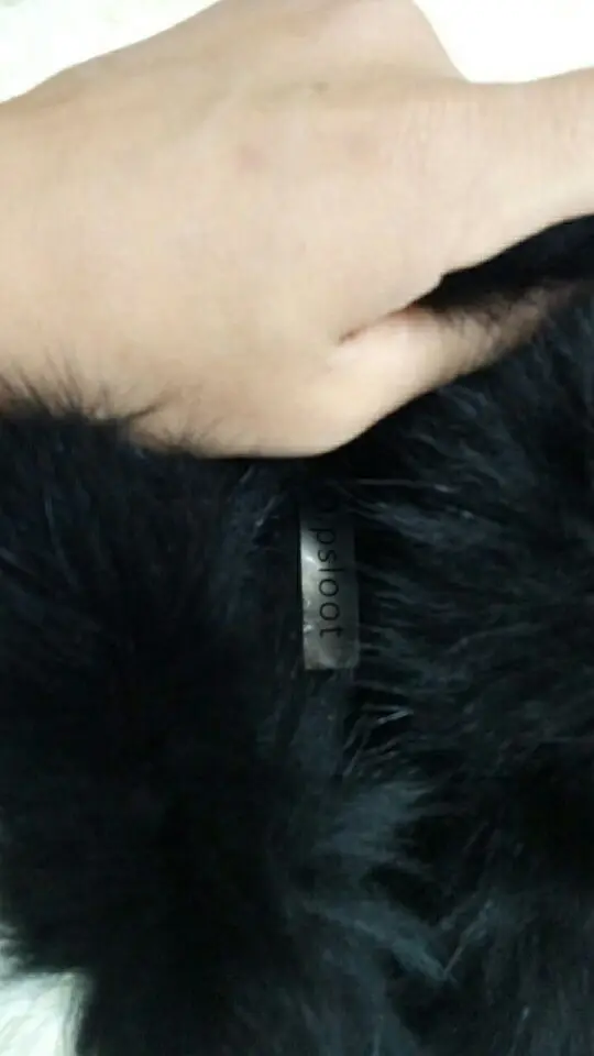 QQ20171112152003