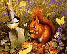 cioioil-T045 Squirrels and birds in the wild coloring by numbers animal paint canvas wall pictures for living room framed 40x50cm