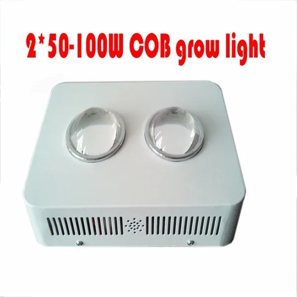 2-50 cob led light