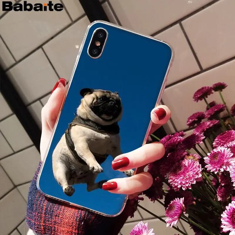 A8 Babaite милый мопс Роскошный Уникальный Дизайн чехол для телефона для iPhone 6S 6plus 7plus 8 8Plus X Xs MAX 5 5S XR - Цвет: A8