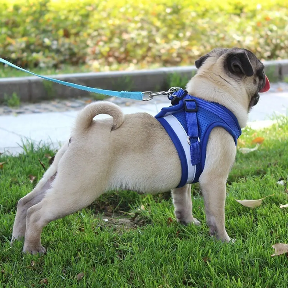 

Reflective Puppy Harness And Leash Set Nylon Mesh Cat Dogs Jacket Mesh Pet Clothes Walking Lead Leash Harness
