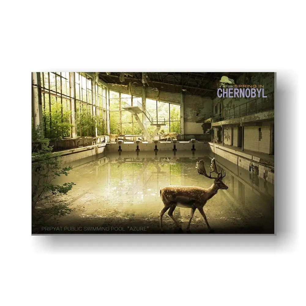 

Creative poster for the Chernobyl accident 36 x 24 Inch