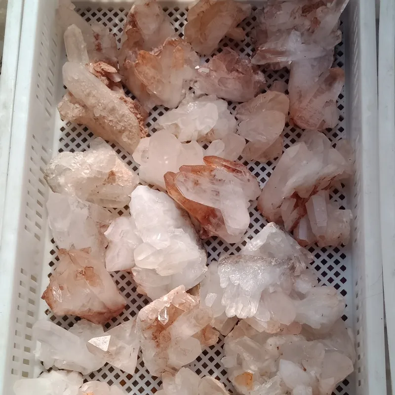 conew_img20190512083214