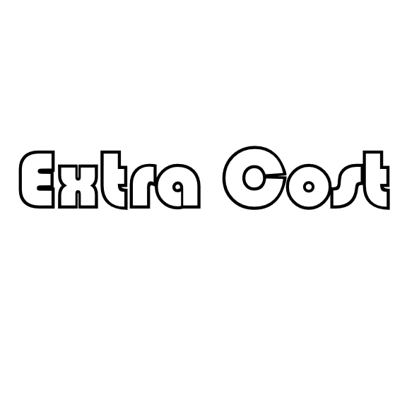 

Extra Cost-Shipping Fees