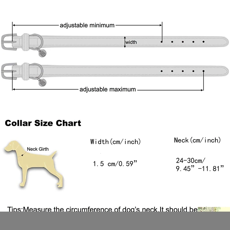 dog collar (2)