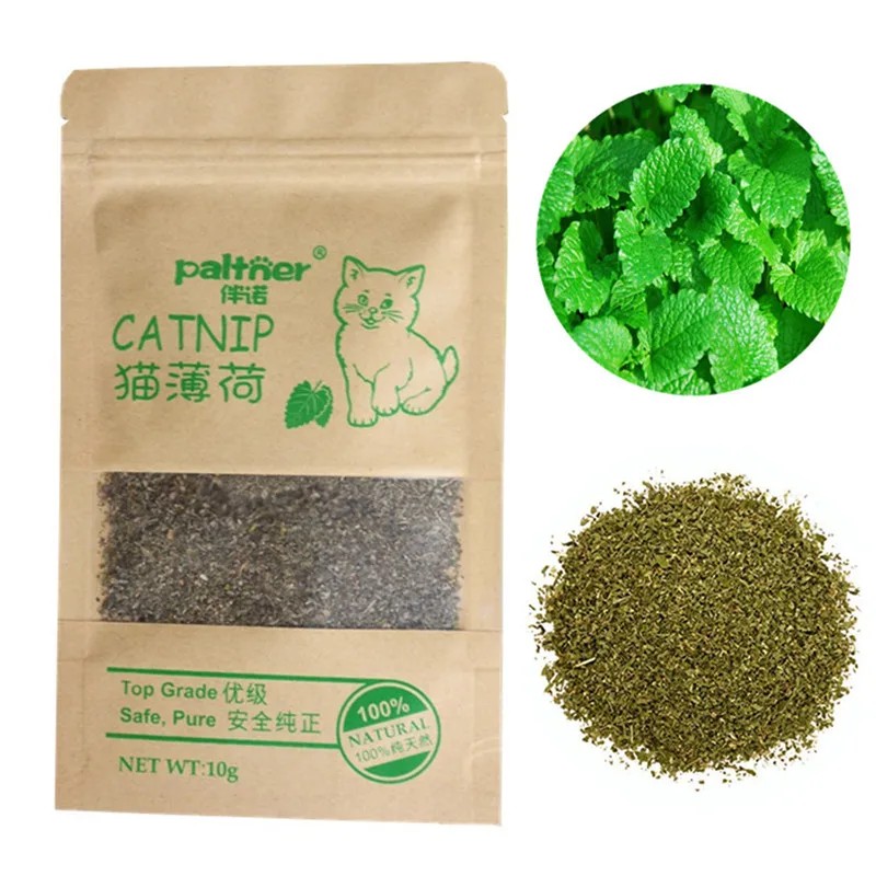 Catnip Grass Good Cats Organic Natural Cat Treats Cat Training Treats Toys Cat Aliexpress