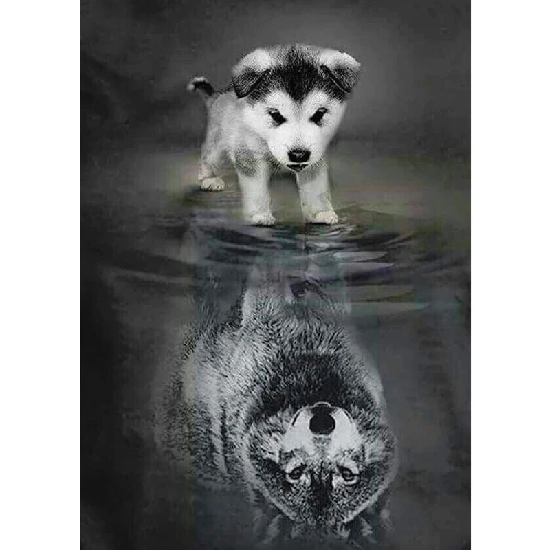 

Full Square Drill 5D DIY Diamond Painting "dog to wolf" 3D Embroidery set Cross Stitch Mosaic Decor gift VIP