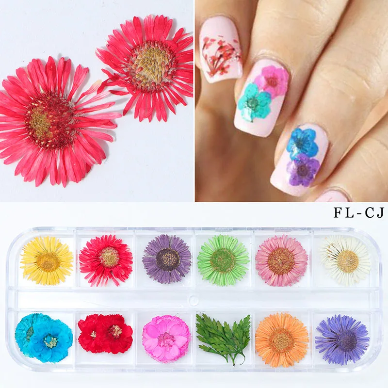 Смешанные цвета высушенный цветок для украшения ногтей смешанные натуральные цветы для наклеивания на ногти сухие цветочные украшения аксессуары для маникюра