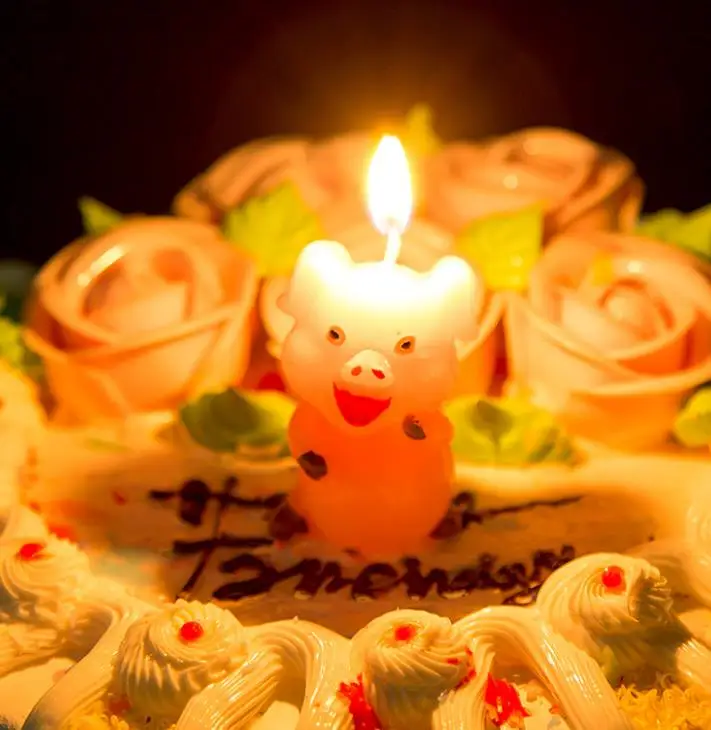 1 шт. Новинка талисман Милая свинья свечи мультфильм свинья животное Зодиак свечи дети день рождения торт свечи романтический домашний декор