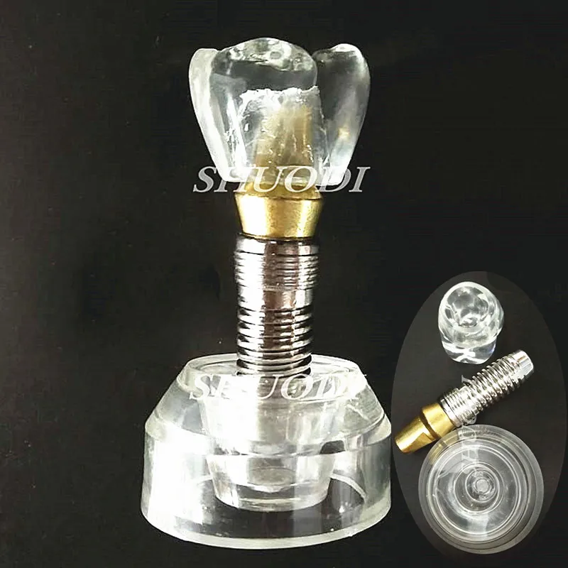 

Dental Implant Demonstration Model Teeth Study Teach Model Communication Transparent 7.5CM