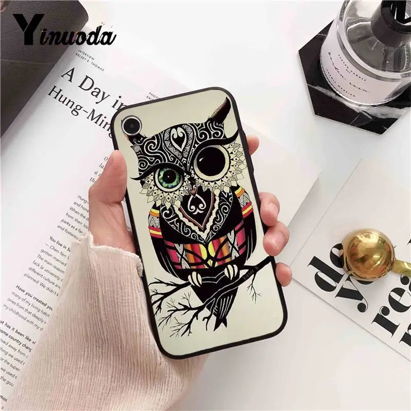 Cool  Owl  Cartoon Painted