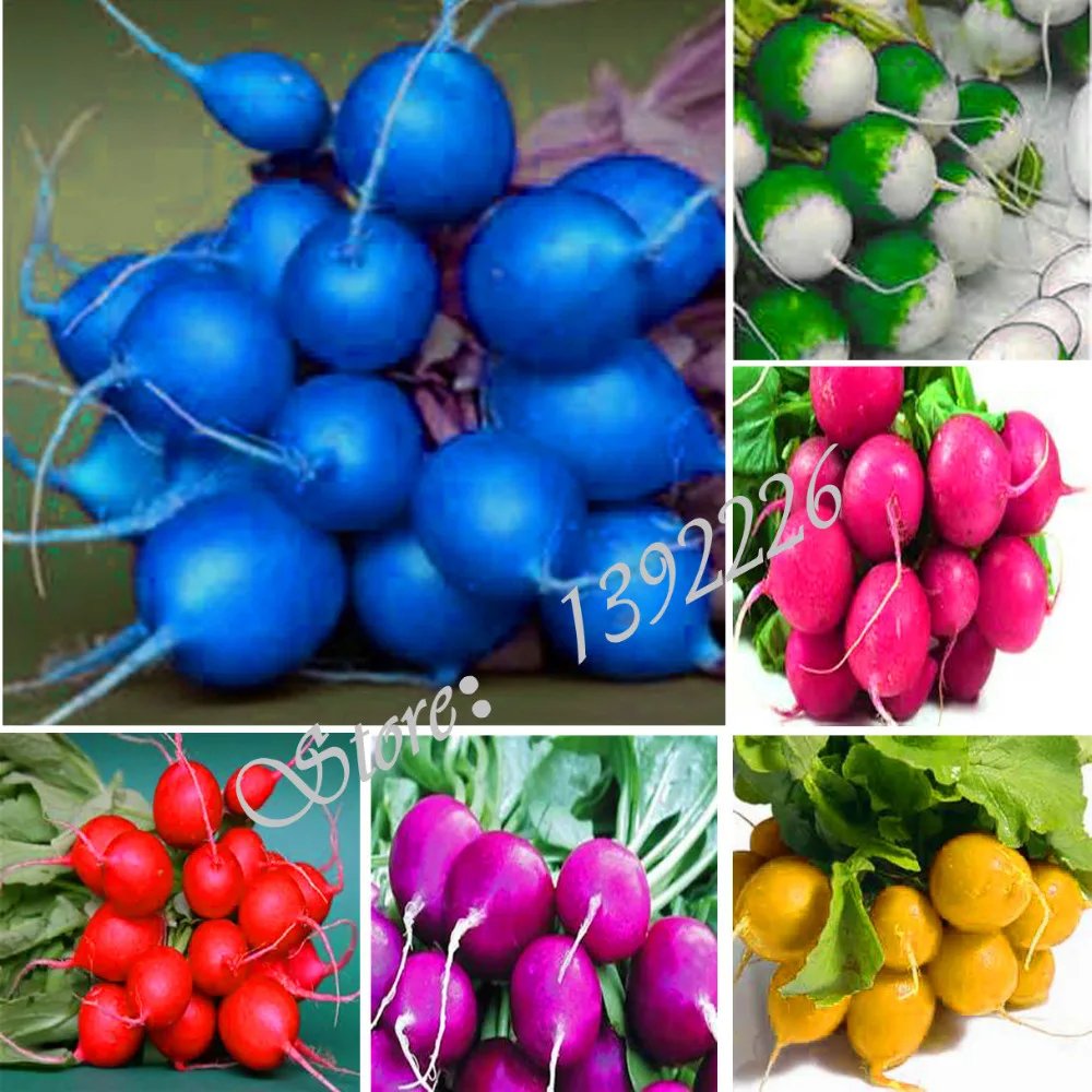 Семена Овощей Без Гмо Купить