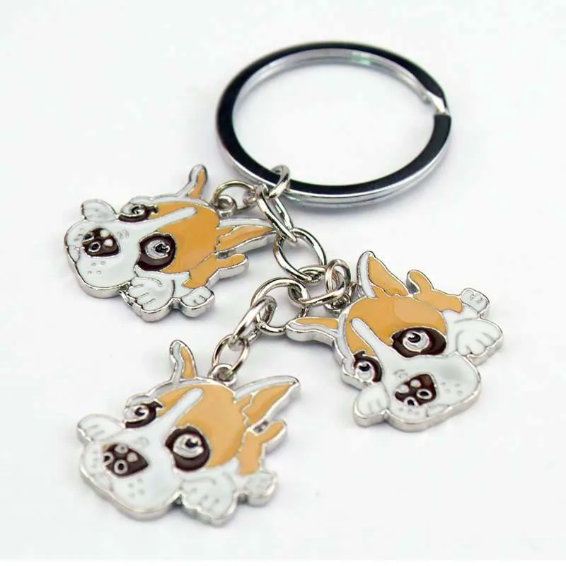 HTB1XfjzKXXXXXciXXXXq6xXFXXXV