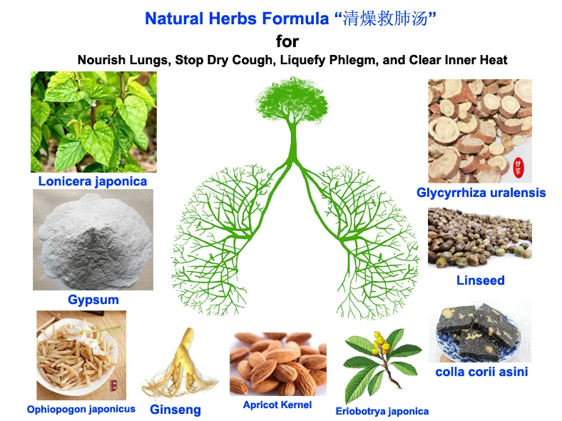 Online Buy Wholesale cough herbs from China cough herbs Wholesalers