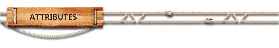 cs015l-2_03