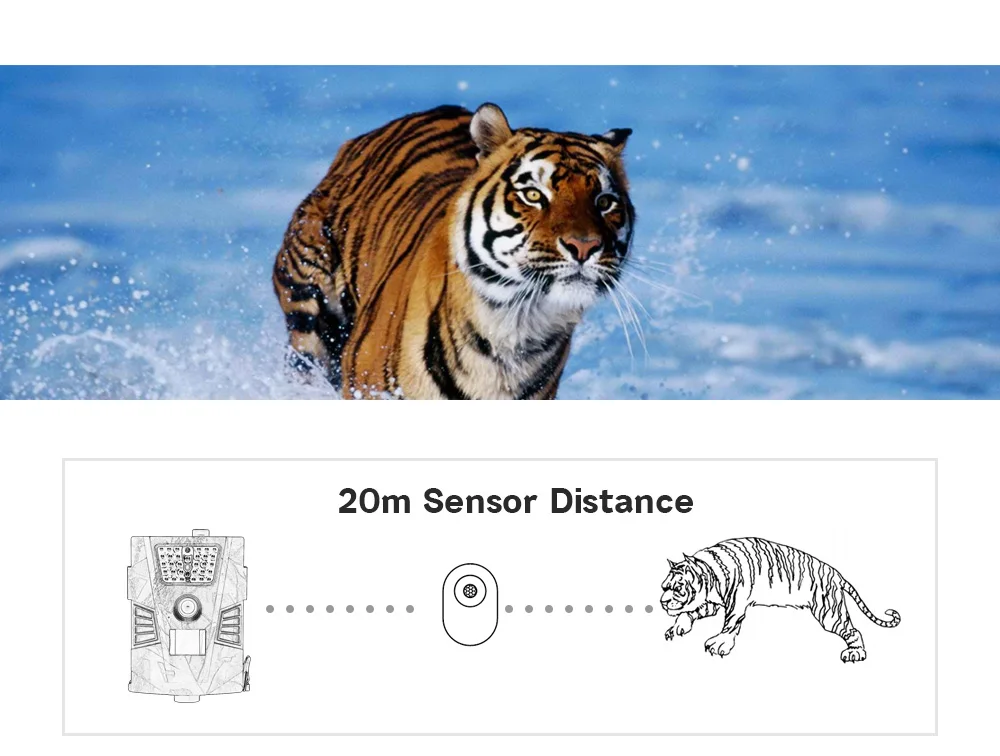 HTB1G6OmigKTBuNkSne1q6yJoXXaW