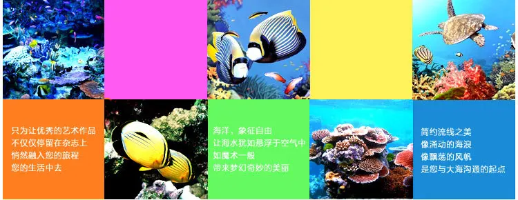 SB03_01