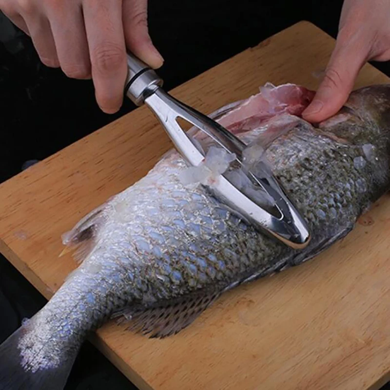Kitchen Utensils Scraping Scales Scraping Clean Fish Fishing Self help