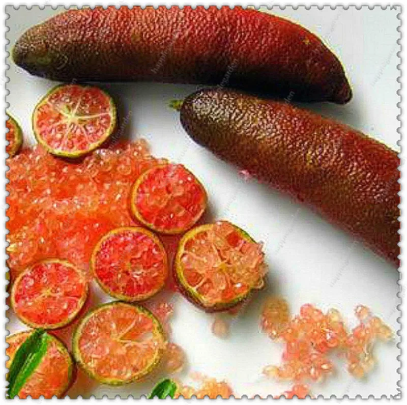 

100pcs/bag Ice Pink Finger Fruit Lime plants Rare Pomegranate plants Bonsai Diy Plant For Home Garden Plants Flower Tree bonsai