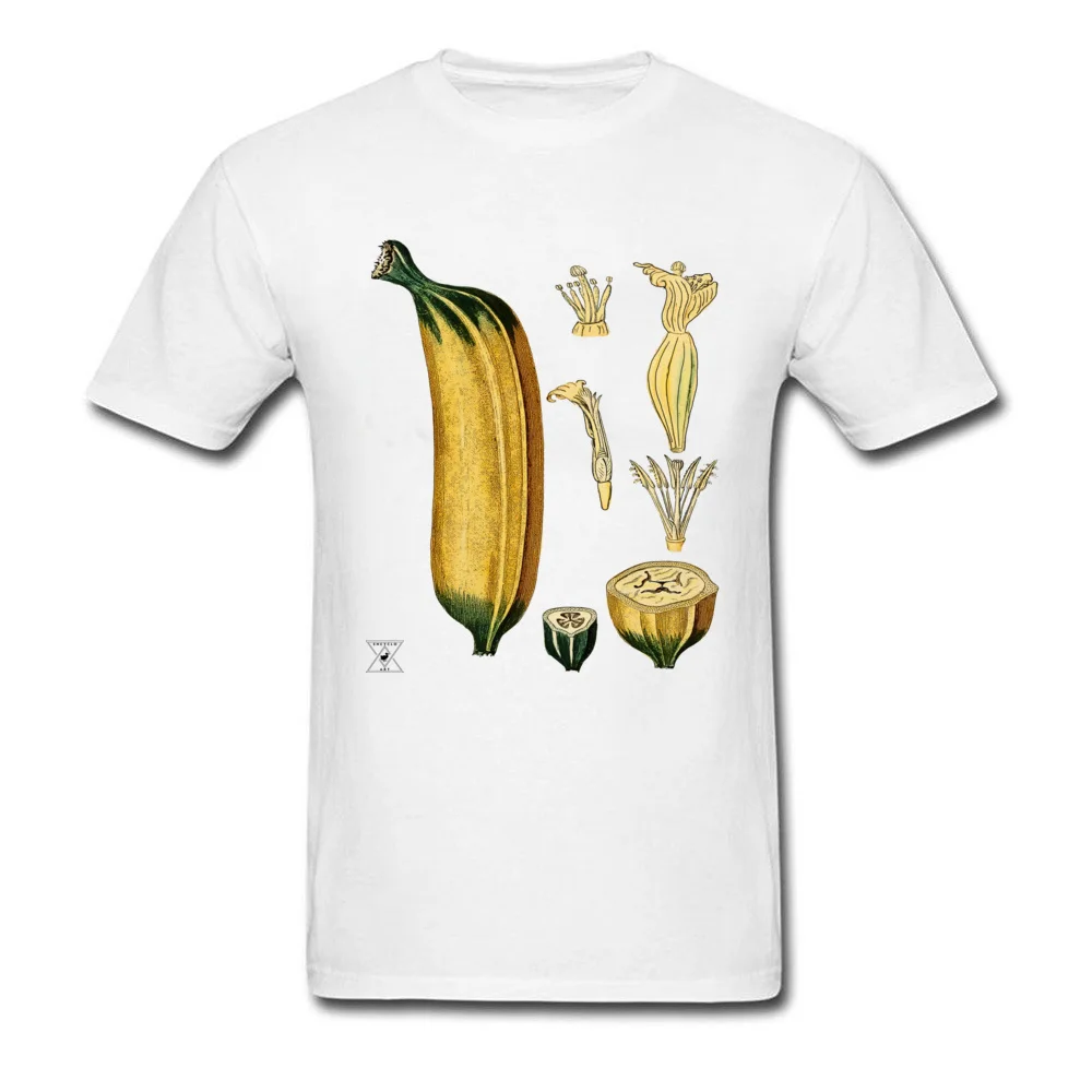 Cotton Fabric Men Short Sleeve Banana Plant Botanical Tropical Fruit T-shirts Slim Fit Tees 2018 Discount Normal O-Neck T Shirts Banana Plant Botanical Tropical Fruit white