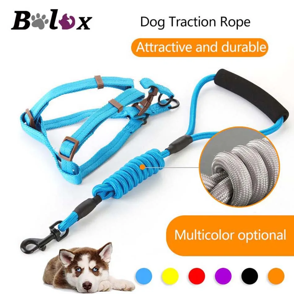 Dog Harness Travel Outdoor Soft Vest Leash Adjustable Harness Leash Set for Small Medium Large Dogs Walking Training Nylon Leash