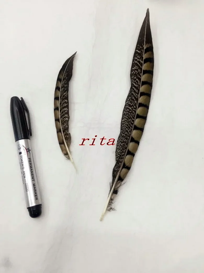100pcs15-20cm 6-8 дюймов Амхерст перья фазана натуральных перьев Плюм основная перо украшения