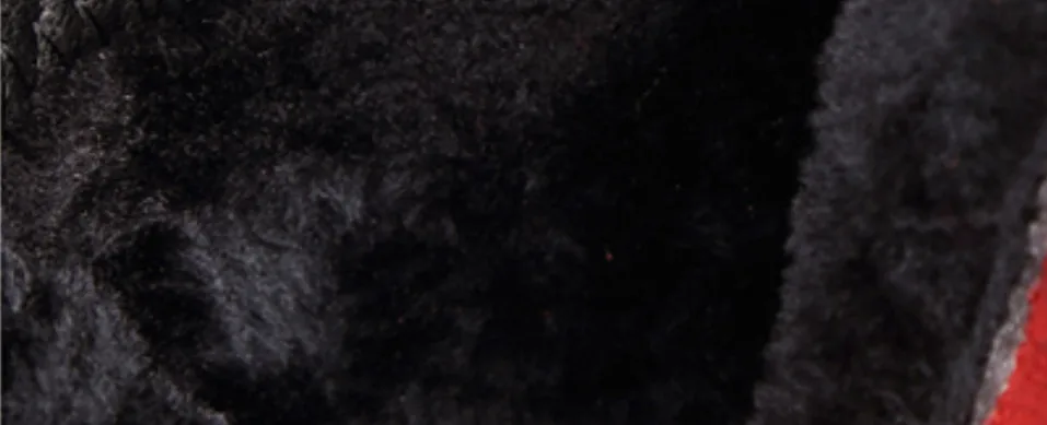 -1009sjd_17
