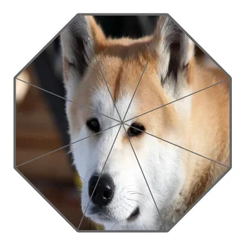 

New Arrival Akita Dog Umbrellas Non-Automatic Folding Women Rain Umbrella Customized Fashion Portable Umbrella Gift