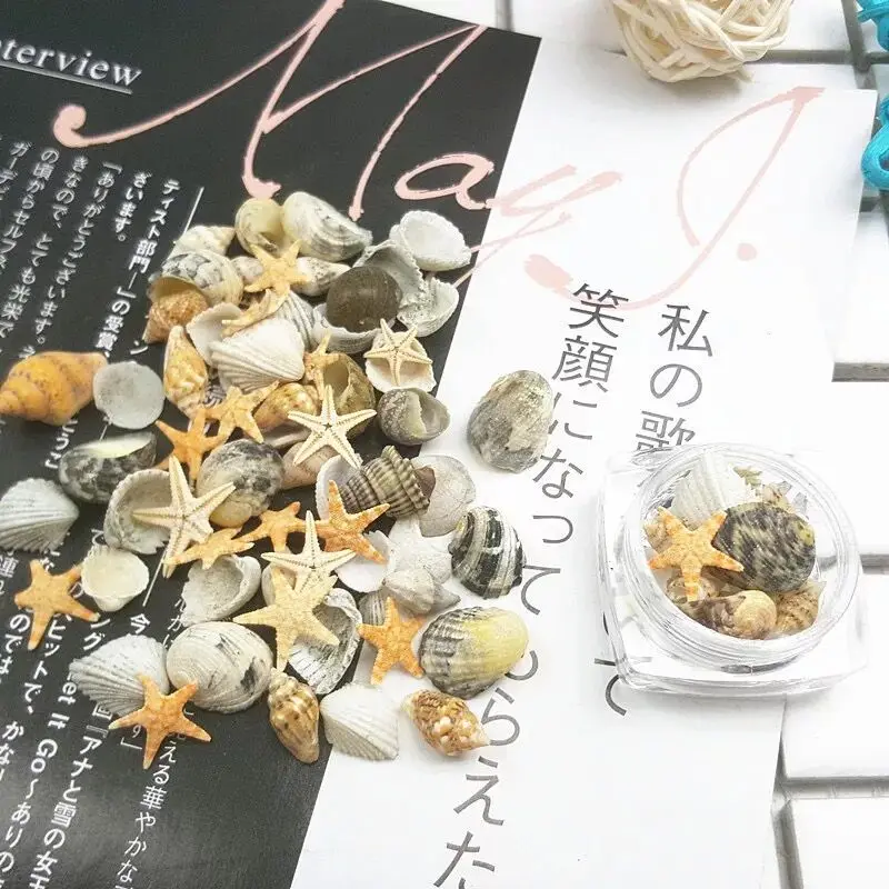 

1Jar Nail Art Shell Trumpet Conch Starfish Shell Small Shell set BJ57